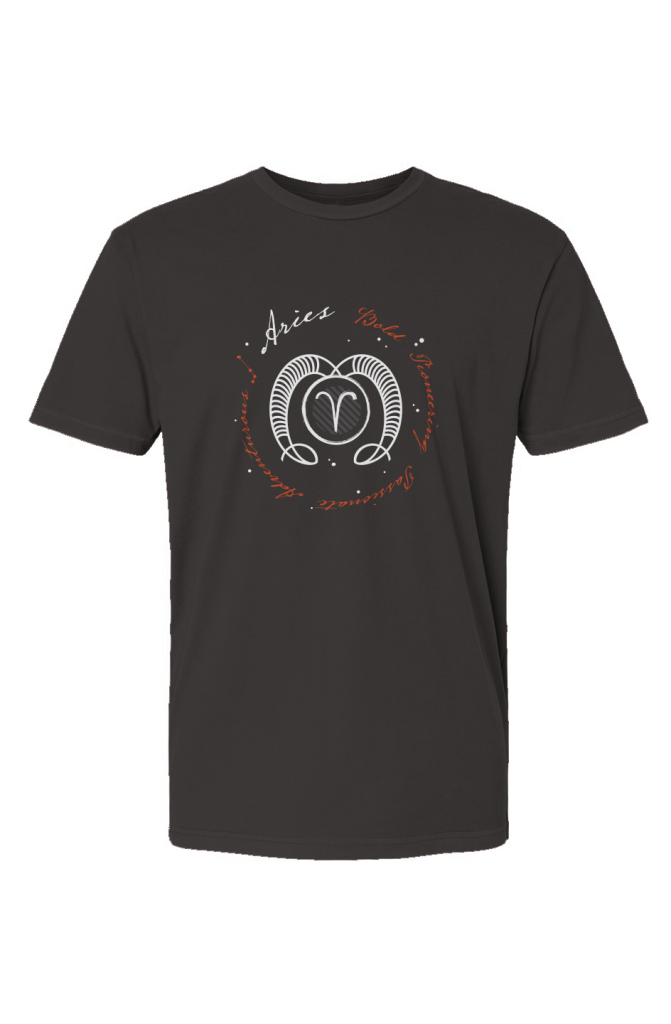 Aries | Soft Wash T-Shirt